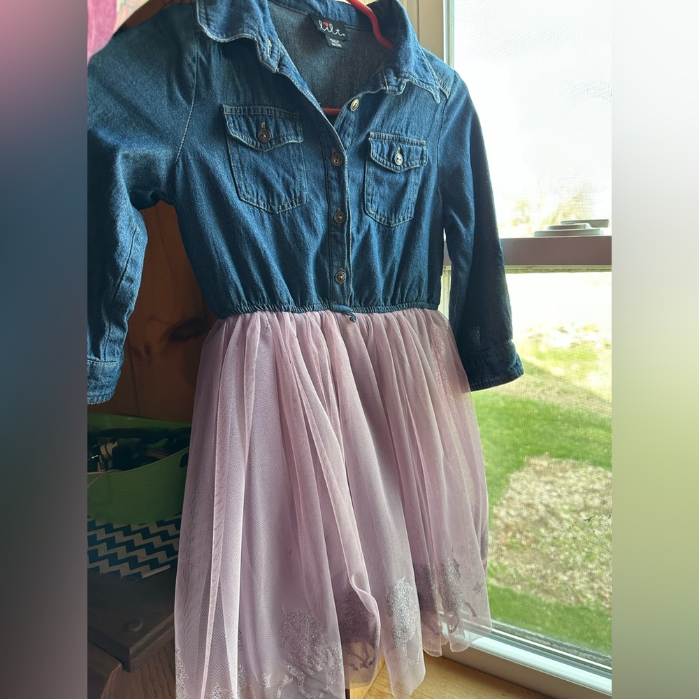Girl’s Denim Top Purple Horse Tulle Skirt Dress